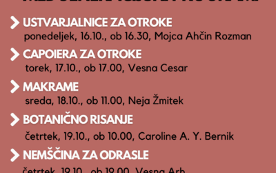 PROGRAMI V BOHINJSKI HIŠI