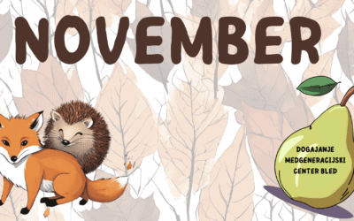 Napovednik MC Bled #november