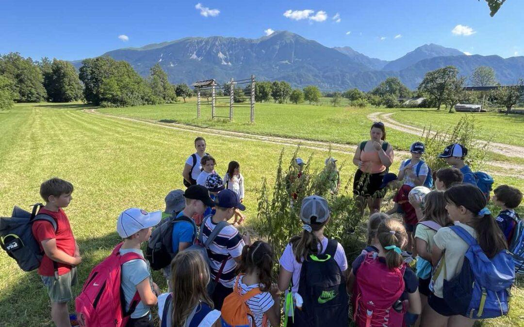 Poletni počitniški program v Medgeneracijskem centru Bled