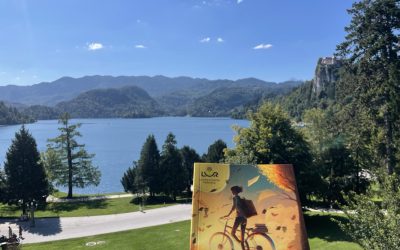 MCB in VGC+ program 2026/27