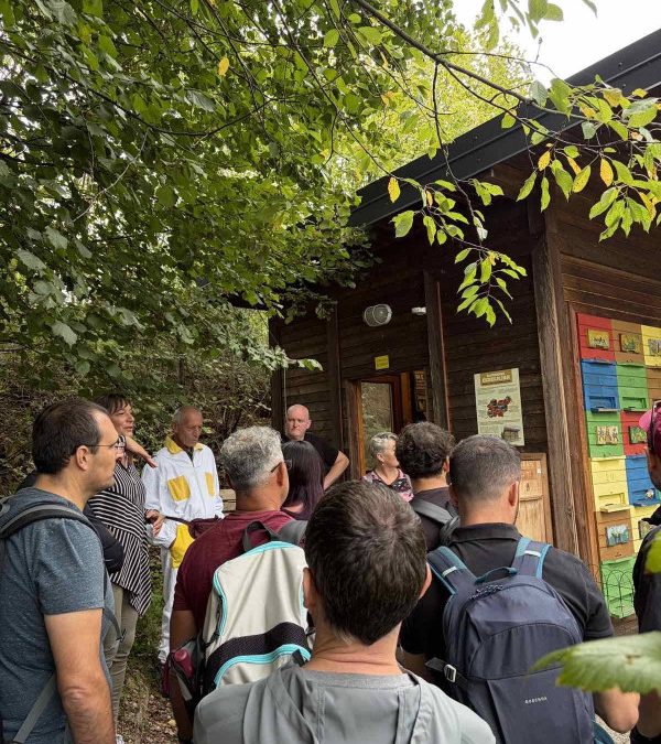 Erasmus+ izmenjava učečih se odraslih iz Irske in Malte
