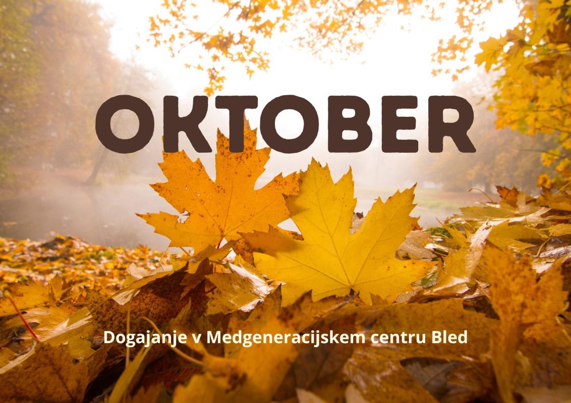 DOGAJANJE MEDGENERACIJSKI CENTER BLED (4)